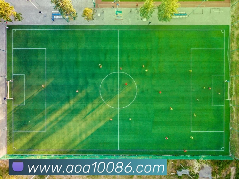 AOA体育APP 封面图